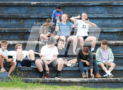 Thumbnail 3 in Cleveland @ Soddy Daisy photogallery.