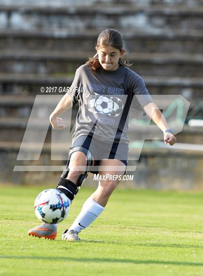 Thumbnail 2 in Cleveland @ Soddy Daisy photogallery.