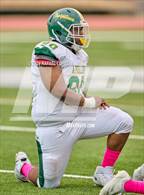 Photo from the gallery "Sharpstown @ Waltrip"