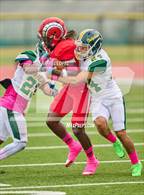 Photo from the gallery "Sharpstown @ Waltrip"