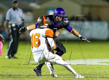 Thumbnail 2 in Winter Park @Timber Creek photogallery.