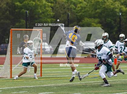 Thumbnail 1 in William Floyd @ Northport photogallery.