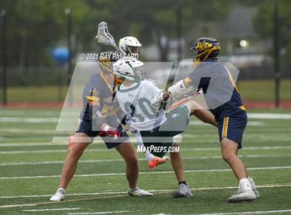 Thumbnail 1 in William Floyd @ Northport photogallery.