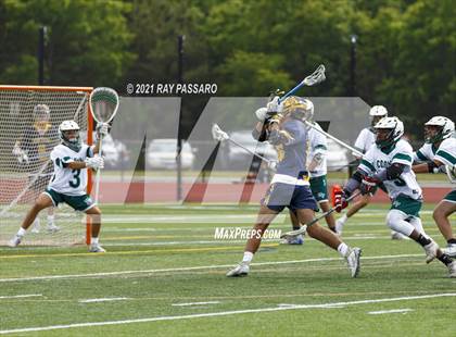 Thumbnail 2 in William Floyd @ Northport photogallery.