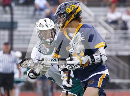 Thumbnail 1 in William Floyd @ Northport photogallery.