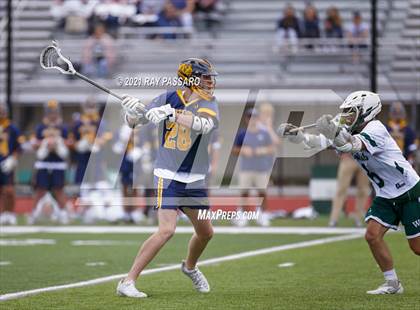 Thumbnail 1 in William Floyd @ Northport photogallery.