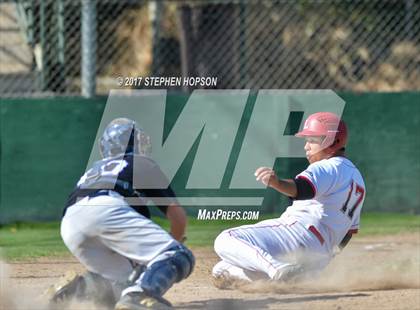 Thumbnail 2 in Tokay @ Lodi photogallery.