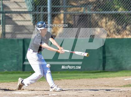 Thumbnail 2 in Tokay @ Lodi photogallery.