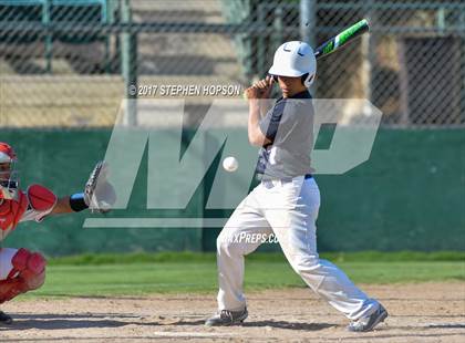 Thumbnail 2 in Tokay @ Lodi photogallery.