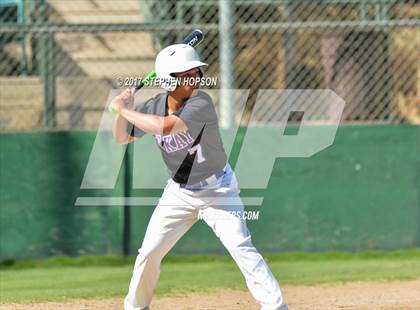 Thumbnail 1 in Tokay @ Lodi photogallery.