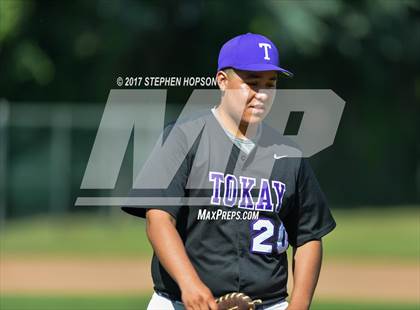Thumbnail 1 in Tokay @ Lodi photogallery.