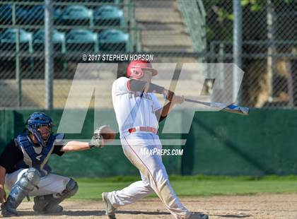 Thumbnail 2 in Tokay @ Lodi photogallery.