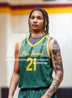 Photo from the gallery "Pine Forest @ Seventy-First"