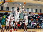 Photo from the gallery "Pine Forest @ Seventy-First"