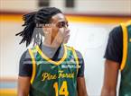 Photo from the gallery "Pine Forest @ Seventy-First"