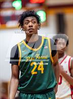 Photo from the gallery "Pine Forest @ Seventy-First"
