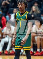 Photo from the gallery "Pine Forest @ Seventy-First"