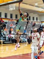 Photo from the gallery "Pine Forest @ Seventy-First"