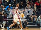 Photo from the gallery "Pine Forest @ Seventy-First"