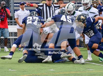 Thumbnail 1 in DePaul Catholic @ Pope John XXIII photogallery.