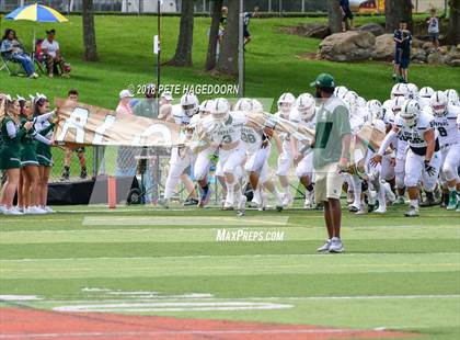 Thumbnail 1 in DePaul Catholic @ Pope John XXIII photogallery.