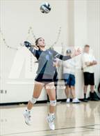 Photo from the gallery "Rocklin @ Whitney"