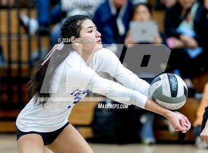 Thumbnail 1 in Rocklin @ Whitney photogallery.