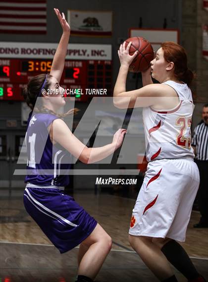 Thumbnail 3 in Shasta vs. Chico photogallery.