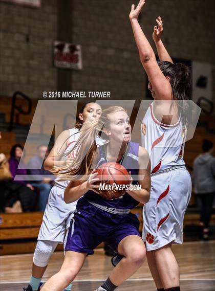 Thumbnail 1 in Shasta vs. Chico photogallery.