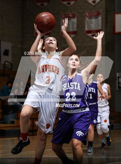 Thumbnail 2 in Shasta vs. Chico photogallery.