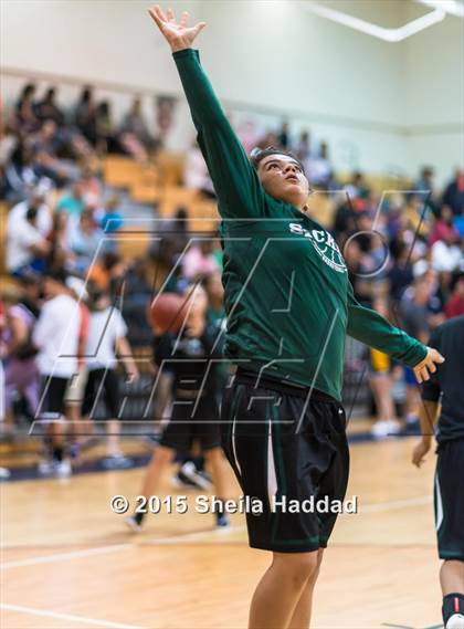 Thumbnail 2 in Sickles @ Steinbrenner photogallery.