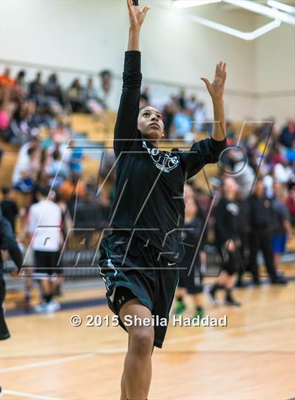 Thumbnail 1 in Sickles @ Steinbrenner photogallery.