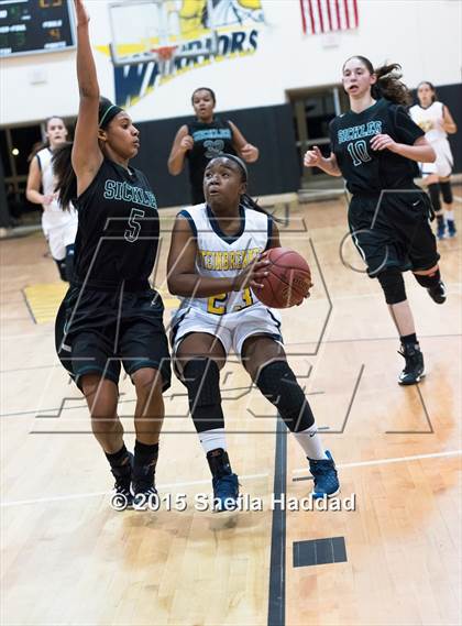 Thumbnail 2 in Sickles @ Steinbrenner photogallery.