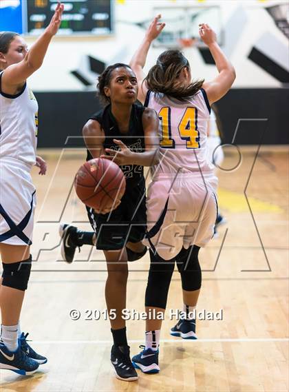 Thumbnail 3 in Sickles @ Steinbrenner photogallery.
