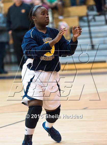 Thumbnail 3 in Sickles @ Steinbrenner photogallery.