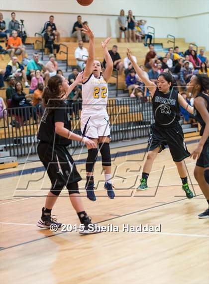 Thumbnail 2 in Sickles @ Steinbrenner photogallery.