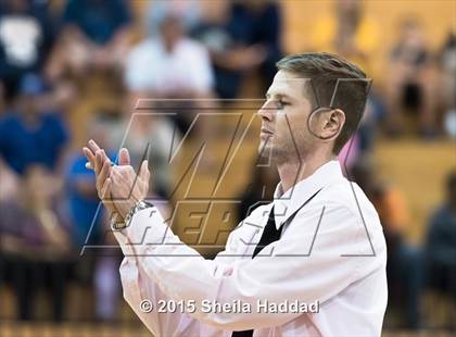 Thumbnail 3 in Sickles @ Steinbrenner photogallery.