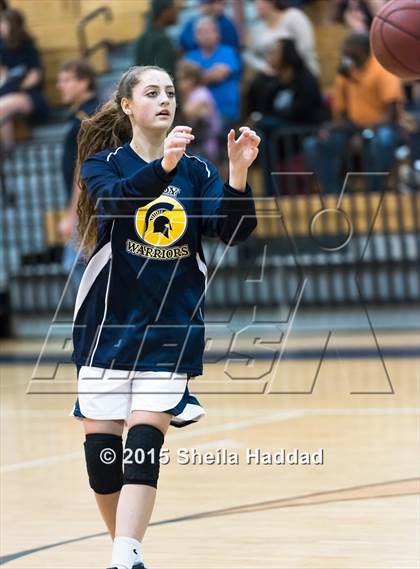 Thumbnail 1 in Sickles @ Steinbrenner photogallery.