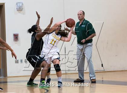 Thumbnail 2 in Sickles @ Steinbrenner photogallery.