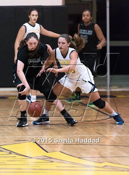 Thumbnail 3 in Sickles @ Steinbrenner photogallery.
