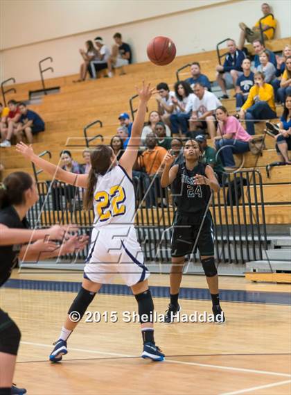 Thumbnail 2 in Sickles @ Steinbrenner photogallery.
