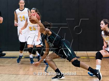 Thumbnail 3 in Sickles @ Steinbrenner photogallery.