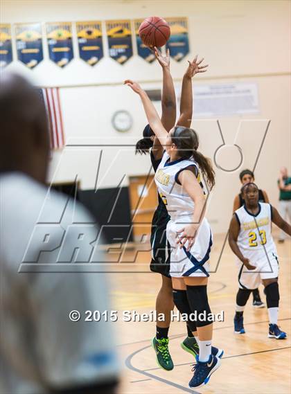 Thumbnail 1 in Sickles @ Steinbrenner photogallery.