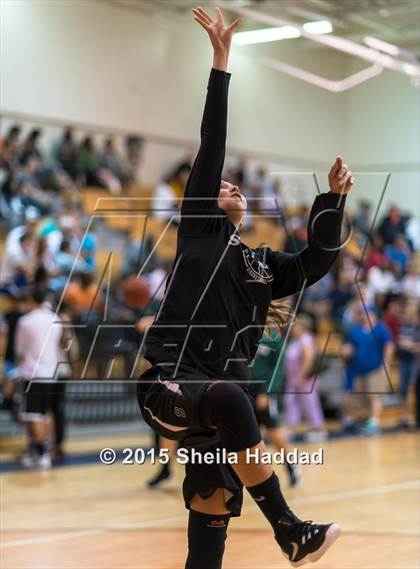 Thumbnail 2 in Sickles @ Steinbrenner photogallery.