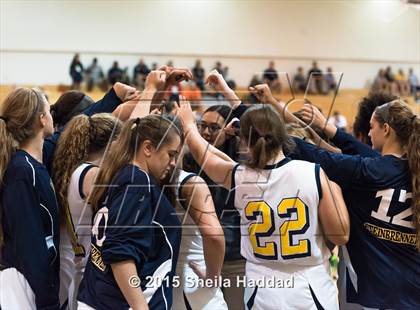 Thumbnail 3 in Sickles @ Steinbrenner photogallery.