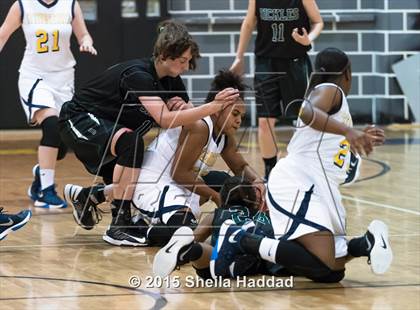 Thumbnail 2 in Sickles @ Steinbrenner photogallery.