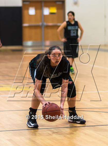 Thumbnail 1 in Sickles @ Steinbrenner photogallery.