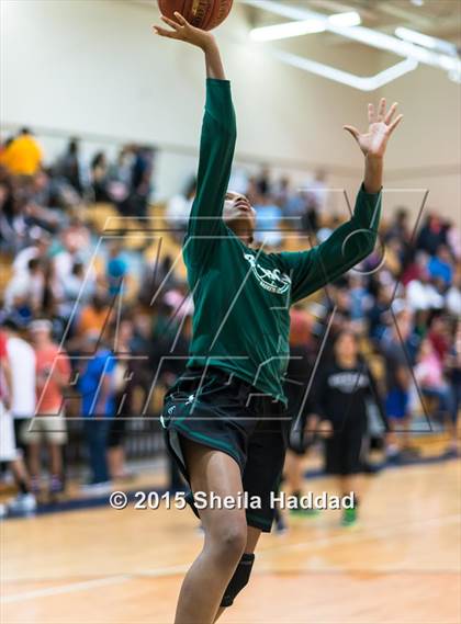 Thumbnail 3 in Sickles @ Steinbrenner photogallery.