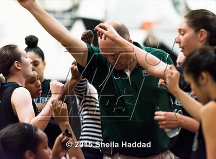 Thumbnail 1 in Sickles @ Steinbrenner photogallery.