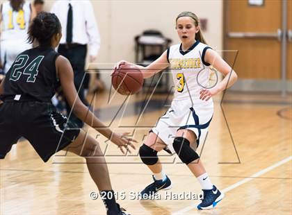 Thumbnail 1 in Sickles @ Steinbrenner photogallery.